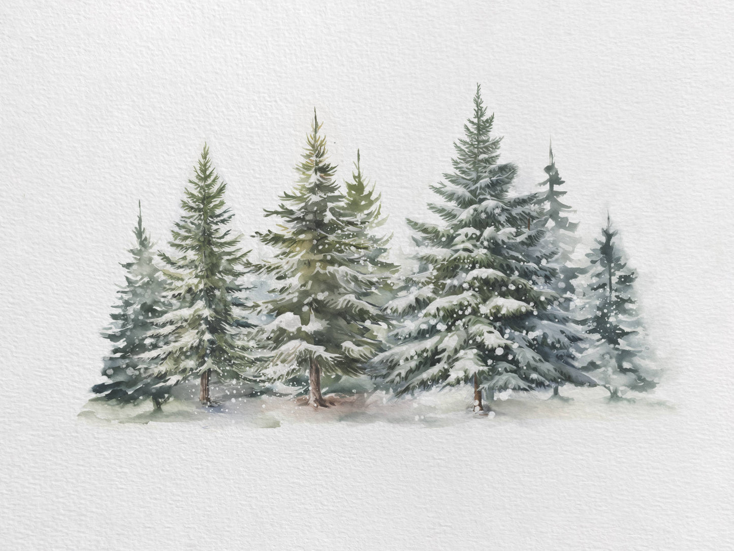Evergreen Forest Art Print