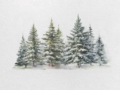 Evergreen Forest Art Print