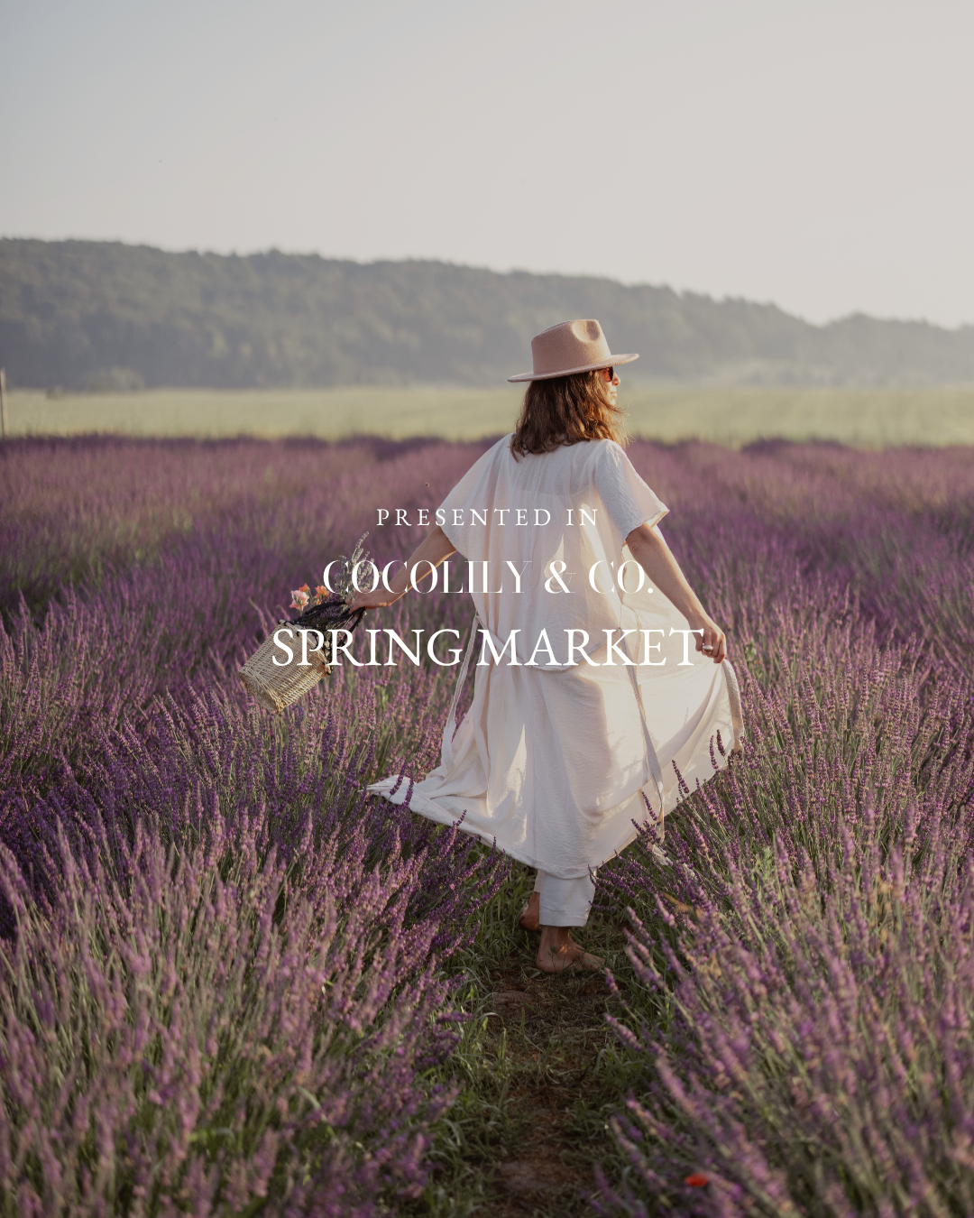 Woman in a white dress and hat standing in a lavender field with 'Cocolly & Co Spring Market' text overlay.